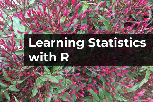 The title of the book, 'Learning Statistics with R', against a background of jasmine flowers